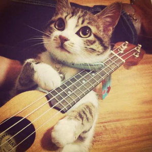 午夜福利无码国产在线观看免费
