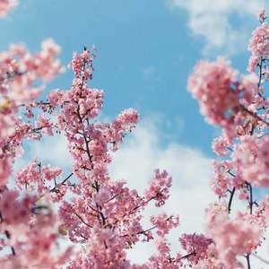 午夜福利无码国产在线观看免费
